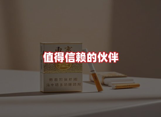专业团队